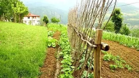 İnci gibi dizdiği odunları gözü gibi koruyor İnci gibi dizdiği odunları gözü gibi koruyor