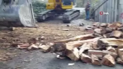 Karadeniz insanın ilginç çözümleri bitmiyor...3 günde kıracağı kışlık odununu balta yerine iş makinesinin kepçesi ile kırdı