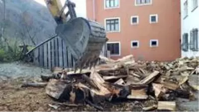 Karadeniz insanın ilginç çözümleri bitmiyor...3 günde kıracağı kışlık odununu balta yerine iş makinesinin kepçesi ile kırdı