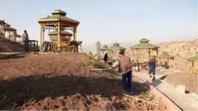 Kartaltepe Mesire Alanı sağlıklı günler için ağaçlandırılıyor Kartaltepe Mesire Alanı sağlıklı günler için ağaçlandırılıyor