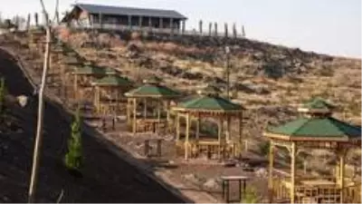 Kartaltepe Mesire Alanı sağlıklı günler için ağaçlandırılıyor Kartaltepe Mesire Alanı sağlıklı günler için ağaçlandırılıyor