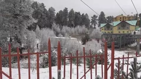 Sarıçam ormanlarında kış güzelliği (2) Sarıçam ormanlarında kış güzelliği (2)