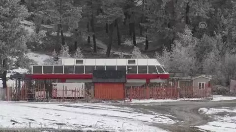 Sarıçam ormanlarında kış güzelliği (2)