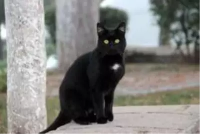 Şehrin sessizliğinde okunan salalar yankılandı