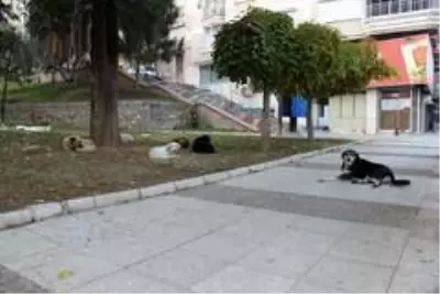 Şehrin sessizliğinde okunan salalar yankılandı