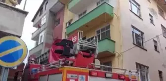 Rize Belediyesi: Son dakika haber! Balkonda mahsur kalan kediyi itfaiye ekipleri kurtardı Rize Belediyesi: Son dakika haber! Balkonda mahsur kalan kediyi itfaiye ekipleri kurtardı