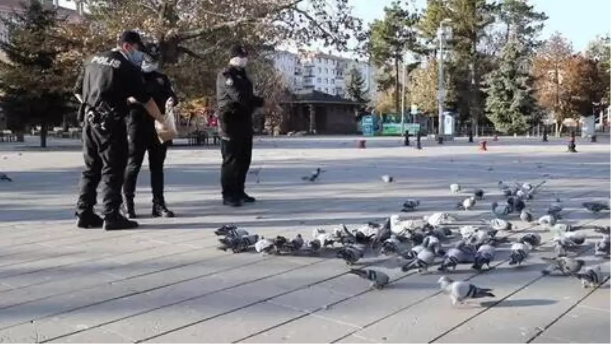 Çubuk'ta polis ekipleri sokak hayvanlarını unutmadı