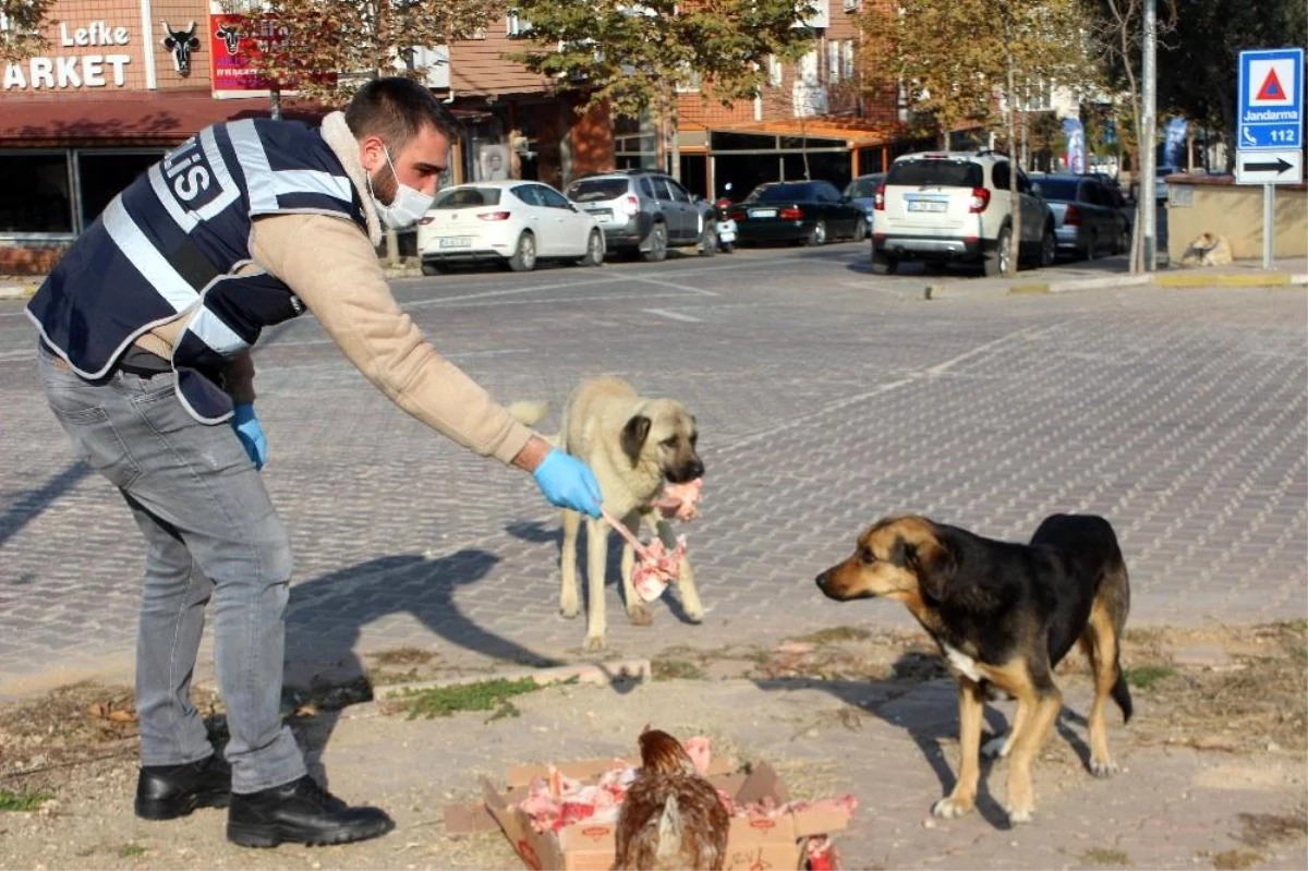 Polis sokak hayvanlarını unutmadı ile ilgili görsel sonucu