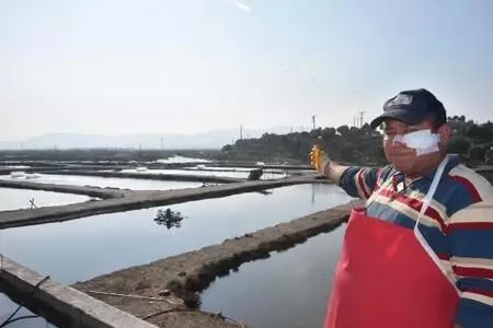 Muğla'nın atıl tarım arazilerine yapılan havuzlarda tonlarca balık üretiliyor Muğla'nın atıl tarım arazilerine yapılan havuzlarda tonlarca balık üretiliyor
