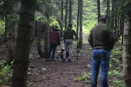 Ayı saldırısından yaralı kurtuldu, koronavirüsü de yendi Ayı saldırısından yaralı kurtuldu, koronavirüsü de yendi