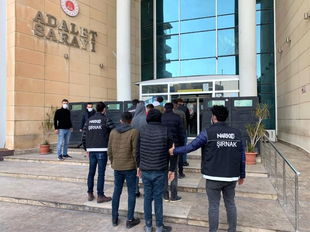 Son dakika haberi | Cizre'de uyuşturucu operasyonunda 7 tutuklama