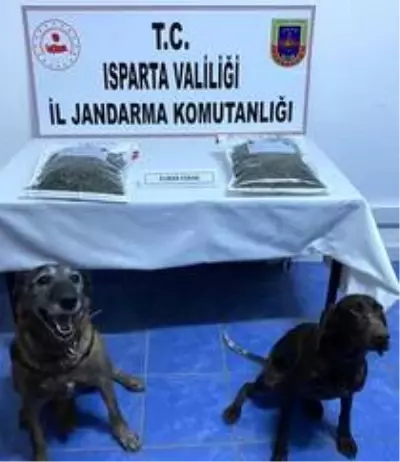 Isparta'da uyuşturucu operasyonlarında 2 kişi tutuklandı Isparta'da uyuşturucu operasyonlarında 2 kişi tutuklandı