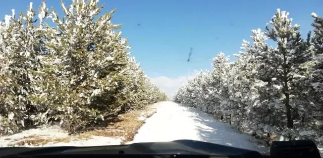 Kış şartlarında doğada kalan yaban hayvanları için yem bıraktılar