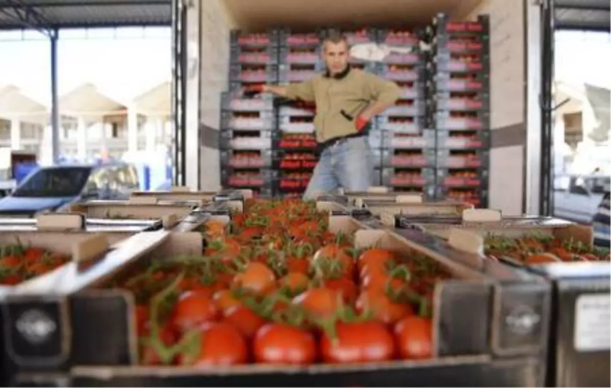 'Rusya, domates kotasını tamamen kaldırmalı'