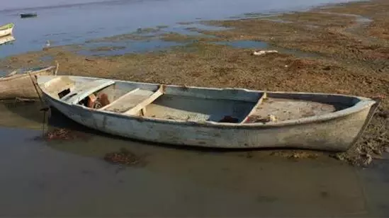 2 bin vatandaşın geçim kaynağı Marmara Gölü yok oluyor! Derinlik 40 santimetreye düştü 2 bin vatandaşın geçim kaynağı Marmara Gölü yok oluyor! Derinlik 40 santimetreye düştü