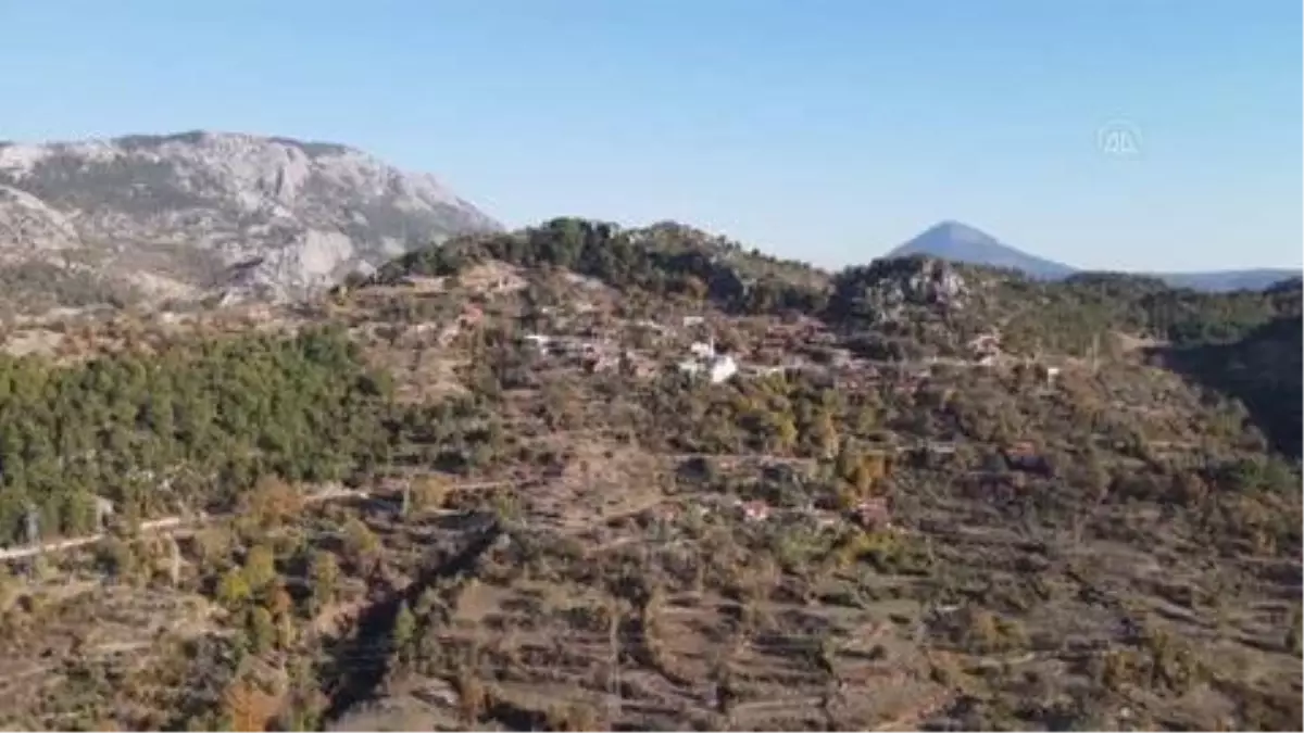 Çiftçi Zeren, Toroslardaki eğimli arazilerini karasabanıyla sürerek geçimini sağlıyor