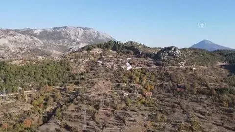 Çiftçi Zeren, Toroslardaki eğimli arazilerini karasabanıyla sürerek geçimini sağlıyor