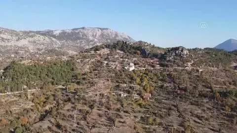 Çiftçi Zeren, Toroslardaki eğimli arazilerini karasabanıyla sürerek geçimini sağlıyor