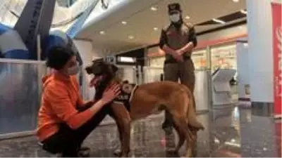Son dakika haberleri! Çorum'da 'En iyi narkotik polisi anne' projesi Son dakika haberleri! Çorum'da 'En iyi narkotik polisi anne' projesi