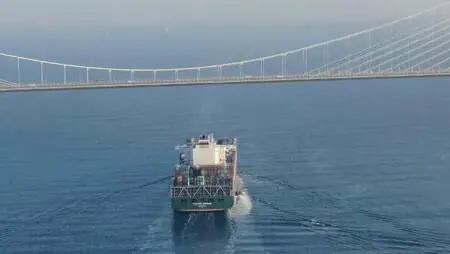 Dev konteyner gemisi İstanbul Boğazı'ndan geçti Dev konteyner gemisi İstanbul Boğazı'ndan geçti
