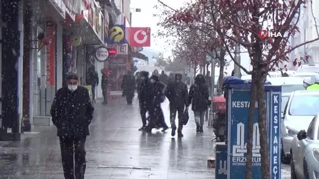 Erzurum'da kar yağışı hayatı olumsuz yönde etkiliyor