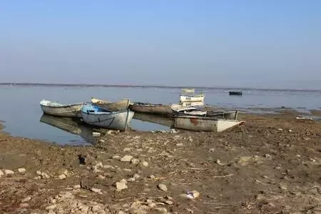 2 bin vatandaşın geçim kaynağı Marmara Gölü yok oluyor! Derinlik 40 santimetreye düştü
