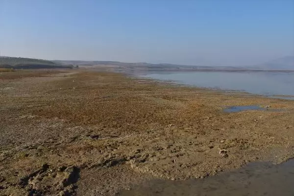 2 bin vatandaşın geçim kaynağı Marmara Gölü yok oluyor! Derinlik 40 santimetreye düştü 2 bin vatandaşın geçim kaynağı Marmara Gölü yok oluyor! Derinlik 40 santimetreye düştü