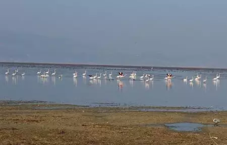 2 bin vatandaşın geçim kaynağı Marmara Gölü yok oluyor! Derinlik 40 santimetreye düştü 2 bin vatandaşın geçim kaynağı Marmara Gölü yok oluyor! Derinlik 40 santimetreye düştü