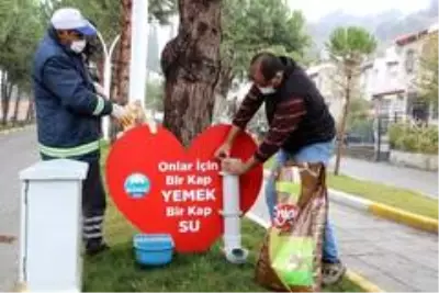 Söke'de Pandemi sürecinde sokak hayvanları aç kalmayacak Söke'de Pandemi sürecinde sokak hayvanları aç kalmayacak