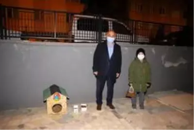 - Sosyal medyadan paylaştı, Başkan'a kedi evi yaptırdı - Sosyal medyadan paylaştı, Başkan'a kedi evi yaptırdı