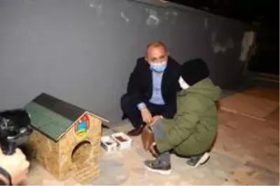 - Sosyal medyadan paylaştı, Başkan'a kedi evi yaptırdı - Sosyal medyadan paylaştı, Başkan'a kedi evi yaptırdı