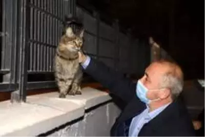 - Sosyal medyadan paylaştı, Başkan'a kedi evi yaptırdı - Sosyal medyadan paylaştı, Başkan'a kedi evi yaptırdı