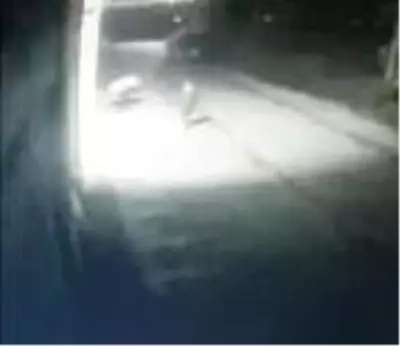 TMO deposundan 15 çuval fındığı böyle çaldılar TMO deposundan 15 çuval fındığı böyle çaldılar
