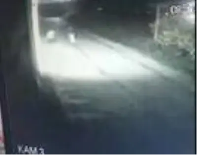 TMO deposundan 15 çuval fındığı böyle çaldılar TMO deposundan 15 çuval fındığı böyle çaldılar