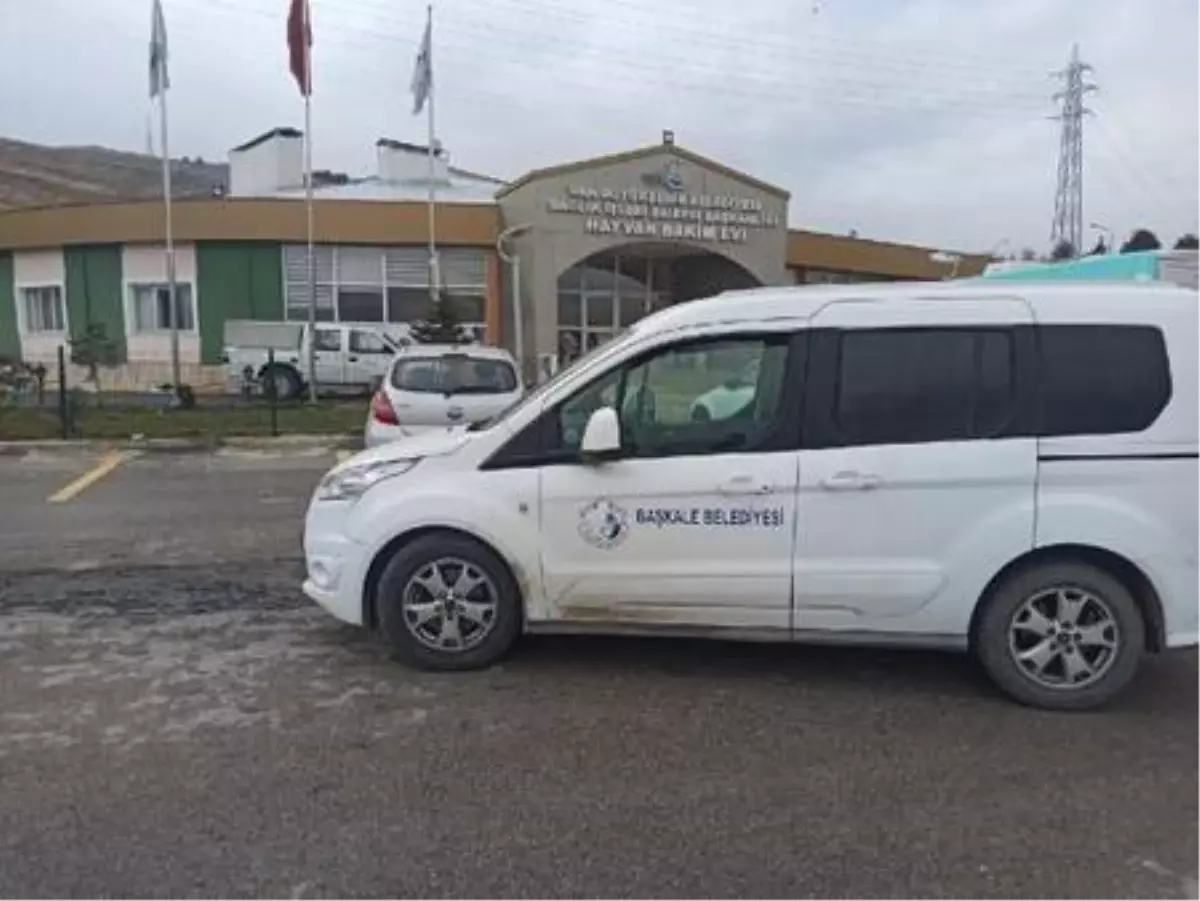 Annesi kaybolan yavru köpeklere belediye ekipleri sahip çıktı