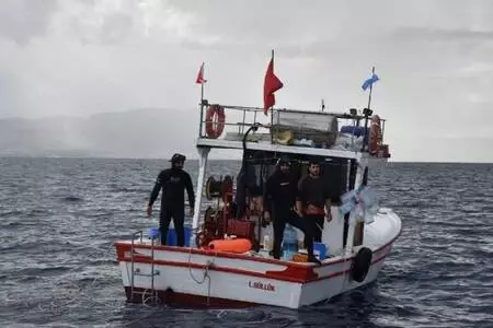 Bodrum'da 'deniz patlıcanı' denetimi Bodrum'da 'deniz patlıcanı' denetimi