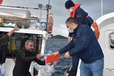 Bodrum'da 'deniz patlıcanı' denetimi Bodrum'da 'deniz patlıcanı' denetimi
