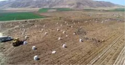 Erzincan havzasında 2021 yılında desteklenecek ürünler belli oldu Erzincan havzasında 2021 yılında desteklenecek ürünler belli oldu