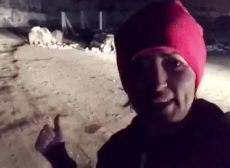 İlçe merkezine inen ayı ve yavrularıyla selfie İlçe merkezine inen ayı ve yavrularıyla selfie