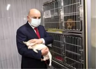 - Keçiören'deki köpekleri sahiplenmek için yoğun talep - Keçiören'deki köpekleri sahiplenmek için yoğun talep