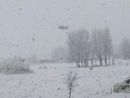 Tunceli'de 132 köy yolu kardan kapandı Tunceli'de 132 köy yolu kardan kapandı