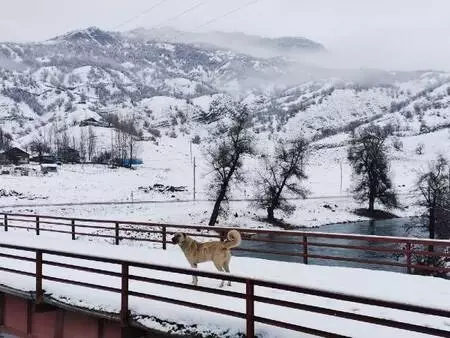 Tunceli'de 132 köy yolu kardan kapandı Tunceli'de 132 köy yolu kardan kapandı