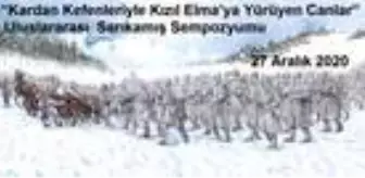 Bingur Sonmez Haberleri Bingur Sonmez Kimdir Haberler bingur sonmez haberleri bingur sonmez