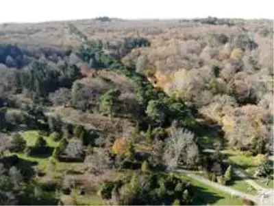 Son dakika haberi: Atatürk Arboretumu'nda sonbahar manzarası Son dakika haberi: Atatürk Arboretumu'nda sonbahar manzarası