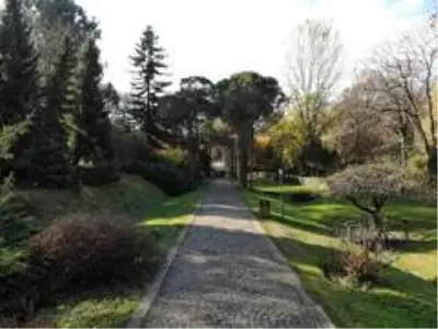 Son dakika haberi: Atatürk Arboretumu'nda sonbahar manzarası Son dakika haberi: Atatürk Arboretumu'nda sonbahar manzarası