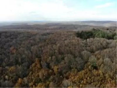 Son dakika haberi: Atatürk Arboretumu'nda sonbahar manzarası Son dakika haberi: Atatürk Arboretumu'nda sonbahar manzarası