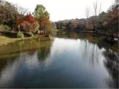 Son dakika haberi: Atatürk Arboretumu'nda sonbahar manzarası Son dakika haberi: Atatürk Arboretumu'nda sonbahar manzarası