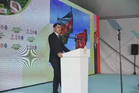 Bakan Kurum: 2023'ün Türkiye'sini yeşil ağlarla örmeye gayret gösteriyoruz Bakan Kurum: 2023'ün Türkiye'sini yeşil ağlarla örmeye gayret gösteriyoruz