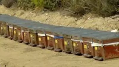 Bal ormanı arıcıların akınına uğruyor Bal ormanı arıcıların akınına uğruyor