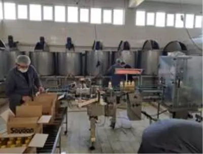 Bilecik'te atlara çip takılarak, büyükbaş hayvanlarda şap aşılaması yapıldı Bilecik'te atlara çip takılarak, büyükbaş hayvanlarda şap aşılaması yapıldı